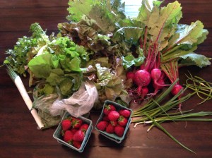 Buttermilk Falls CSA Week 1