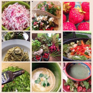 Buttermilk Falls CSA week 1